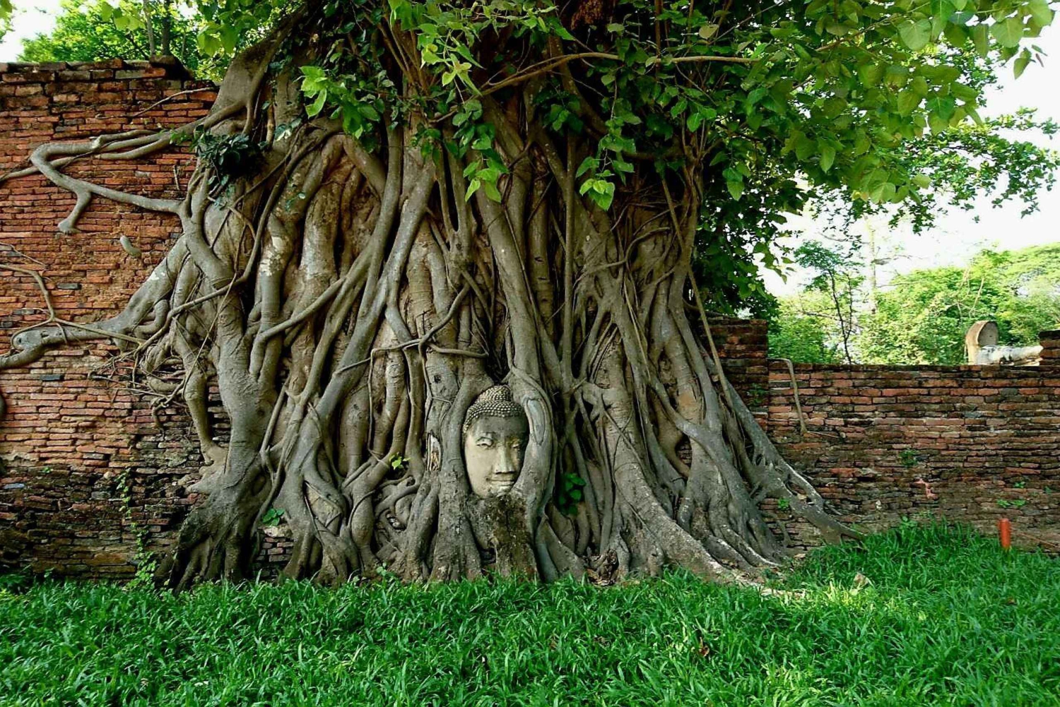 Fra Bangkok: Overkommelig tur til Ayutthayas højdepunkter