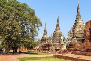 From Bangkok: Ayutthaya Afternoon Serenity Tour & Boat Ride