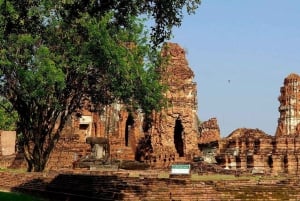 From Bangkok: Ayutthaya Afternoon Serenity Tour & Boat Ride