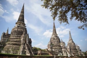 From Bangkok: Ayutthaya Afternoon Serenity Tour & Boat Ride