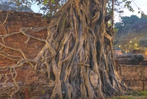 Da Bangkok: Tour pomeridiano della serenità e giro in barca di Ayutthaya