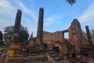 Da Bangkok: Tour pomeridiano della serenità e giro in barca di Ayutthaya