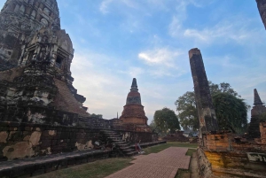 Da Bangkok: Tour pomeridiano della serenità e giro in barca di Ayutthaya