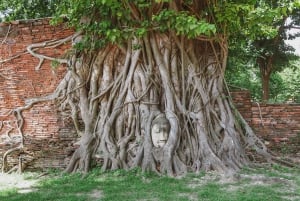 Fra Bangkok: Ayutthaya-dagstur med buss med elvecruise