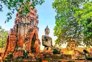 Fra Bangkok: Omvisning i Ayutthaya + lunsj + spansk guide