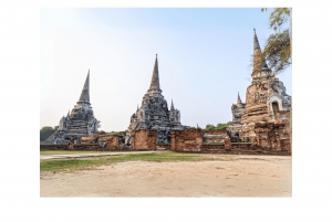 From Bangkok: Ayutthaya Food Journey and History