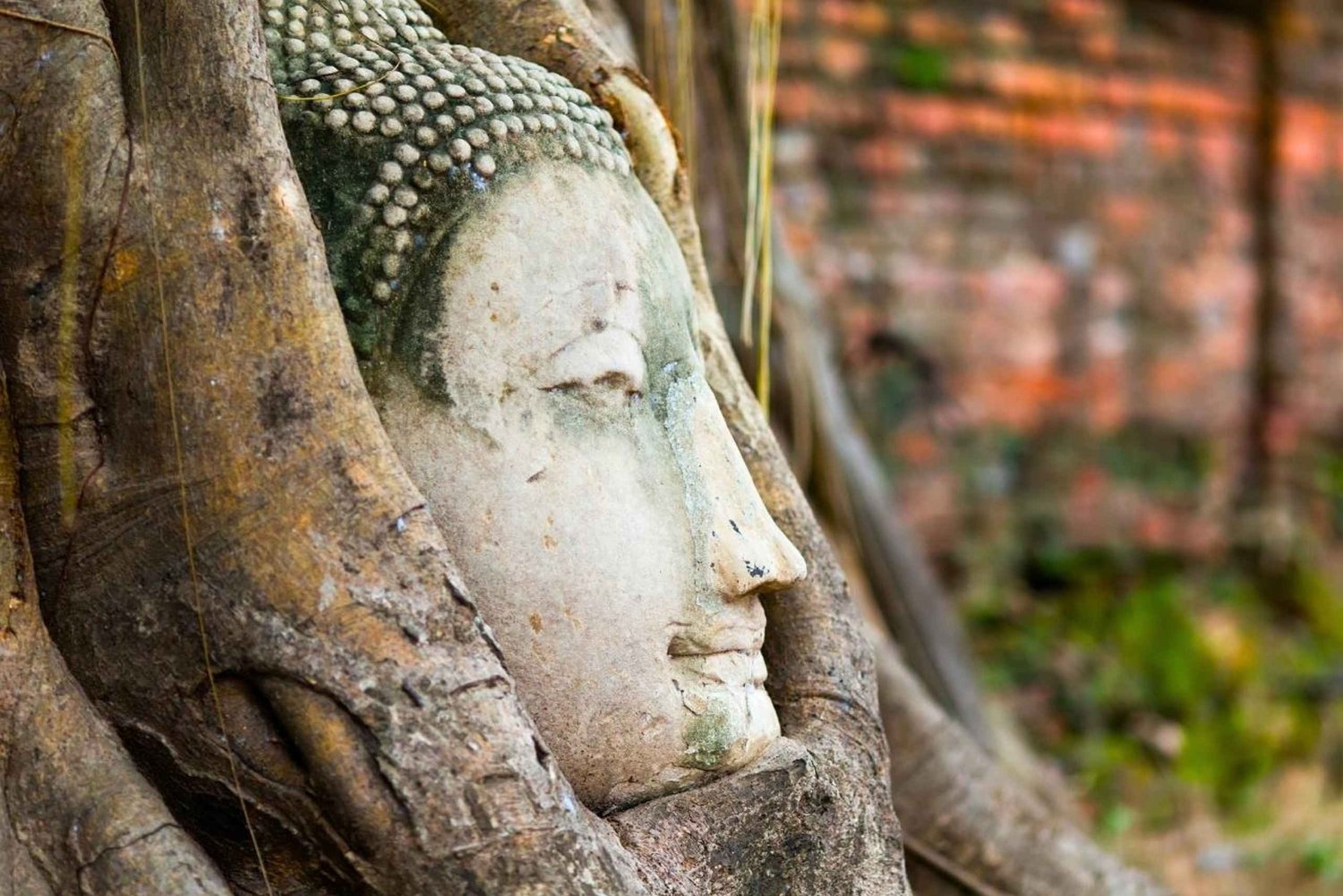 From Bangkok: Ayutthaya Temples Small Group Tour with Lunch