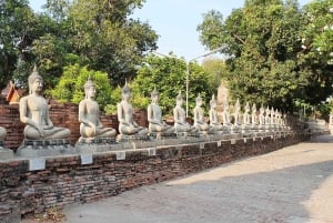 From Bangkok: Ayutthaya & Khao Yai National Park Day Trip