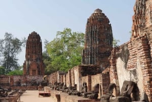 From Bangkok: Ayutthaya & Khao Yai National Park Day Trip