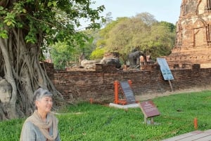From Bangkok: Ayutthaya & Khao Yai National Park Day Trip