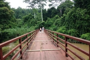 From Bangkok: Ayutthaya & Khao Yai National Park Day Trip