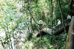 From Bangkok: Ayutthaya & Khao Yai National Park Day Trip