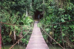 From Bangkok: Ayutthaya & Khao Yai National Park Day Trip