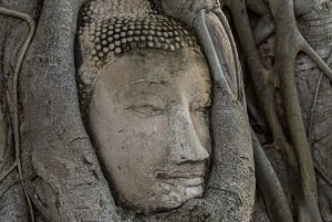 バンコク発：カフェのあるアユタヤの必見寺院