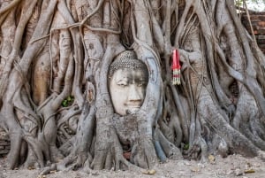 Från Bangkok: Ayutthaya Privat UNESCO-hel dagsutflykt