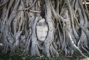 Bangkok: Excursão guiada de viagem de 1 dia aos templos de Ayutthaya, Património Mundial da UNESCO