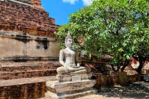 Da Bangkok: tour dei templi di Ayutthaya con il Palazzo Bang Pa-In