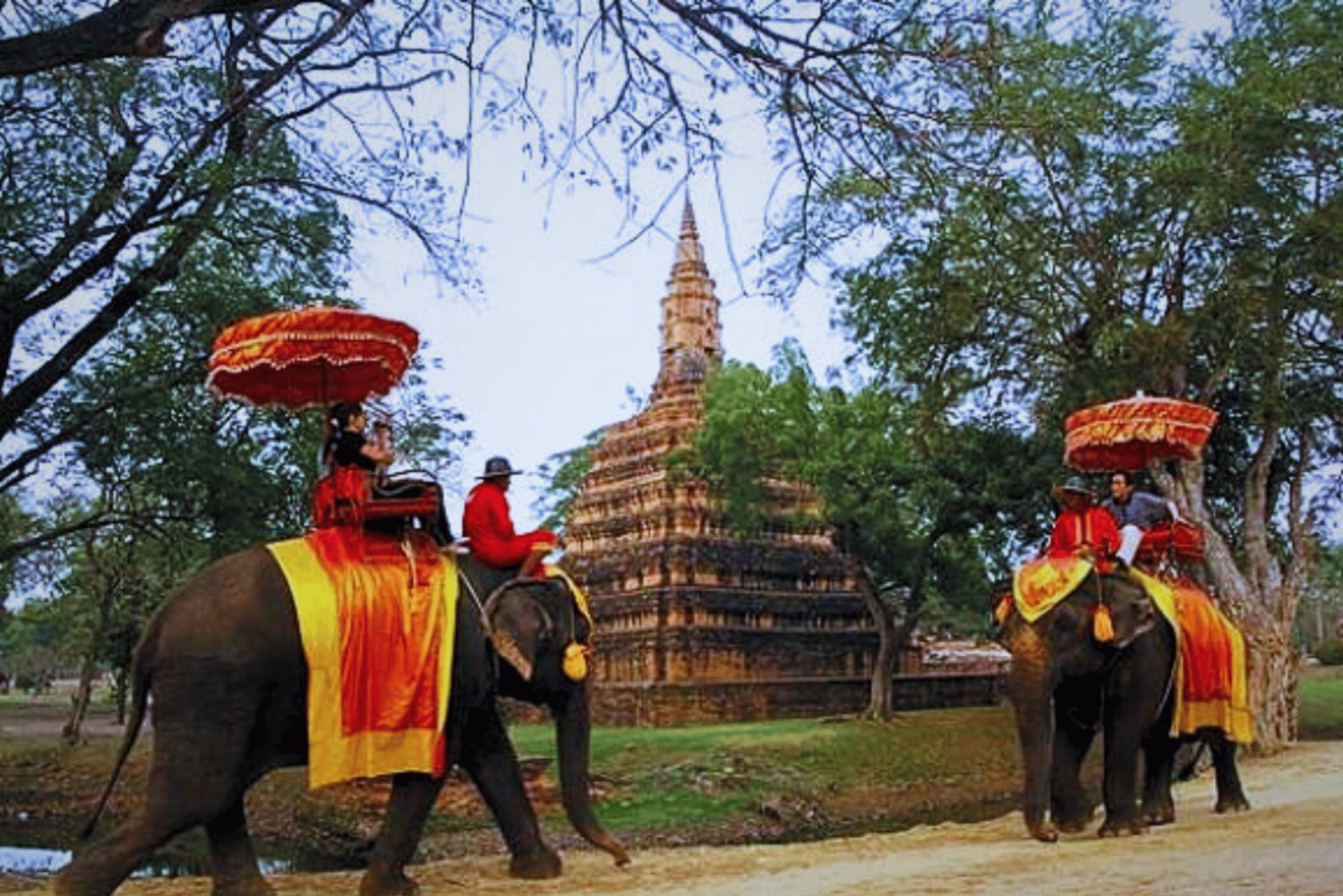 From Bangkok: Ayutthaya Tour, Elephant Palace & Royal Kraal