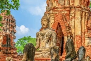 From Bangkok: Ayutthaya Tour, Elephant Palace & Royal Kraal