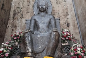 Fra Bangkok: Ayutthaya-tur, Elefantpaladset og Royal Kraal