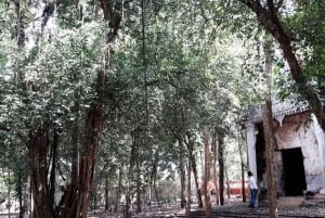 From Bangkok: Chachoengsao Tour and Bang Pakong River Cruise