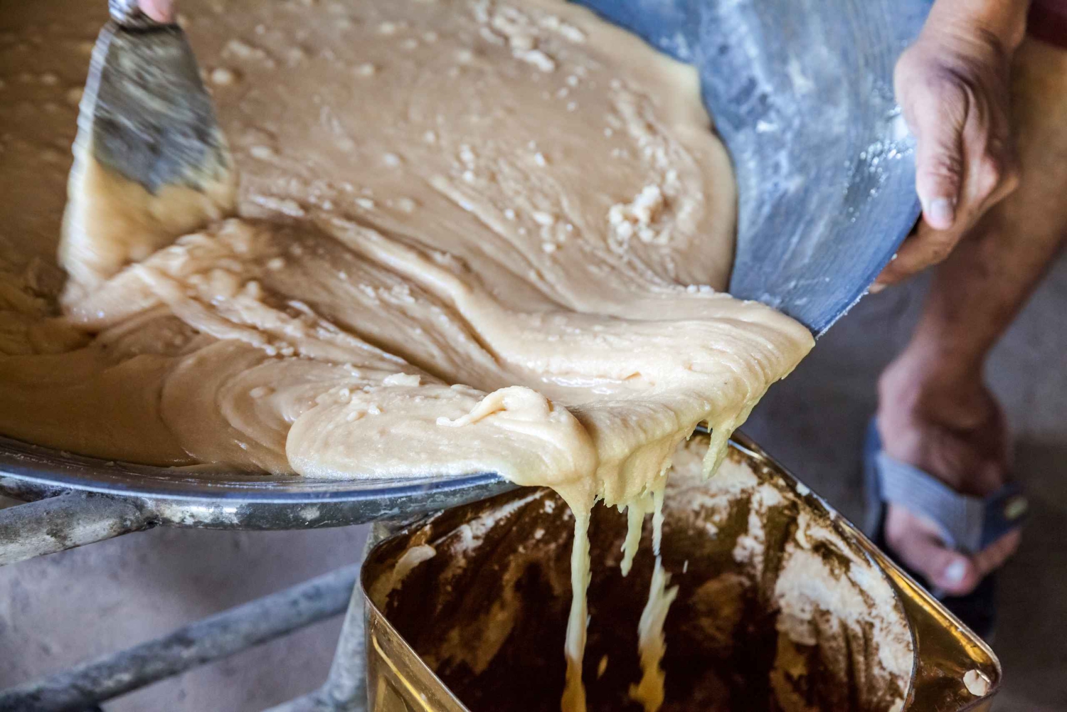 Z Bangkoku: Damnoen Saduak Floating Market Wycieczka z przewodnikiem