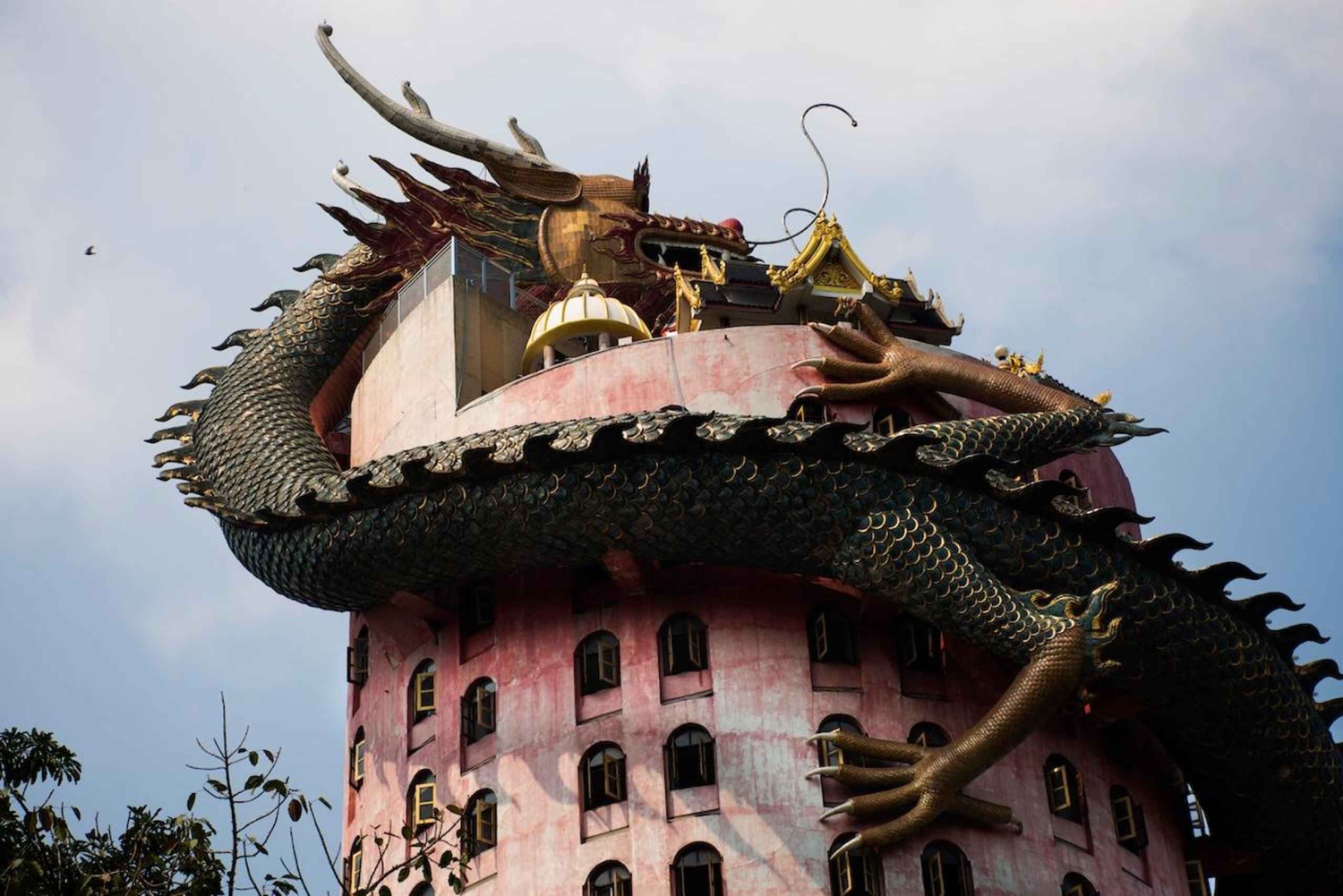 Vanuit Bangkok: Don Wai-markt, Wat Samphran & Lotus Café-tour