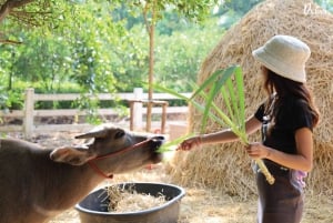 Från Bangkok: Don Wai-marknaden, Wat Samphran och Lotus Café-tur
