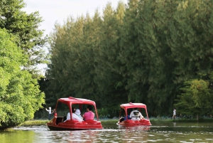 Vanuit Bangkok: Don Wai-markt, Wat Samphran & Lotus Café-tour
