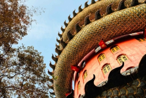 Vanuit Bangkok: Don Wai-markt, Wat Samphran & Lotus Café-tour