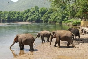 Au départ de Bangkok : Expérience de deux jours avec ElephantsWorld Kanchanaburi
