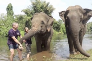 Bangkokista: ElephantsWorld Kanchanaburi 2 päivän kokemus