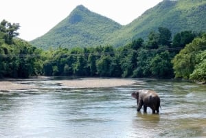 De Bangkok: experiência de 2 dias no ElephantsWorld Kanchanaburi