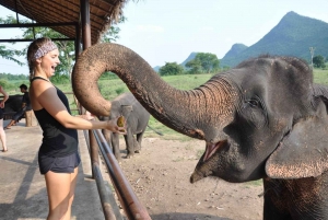 Fra Bangkok: ElefanterWorld Kanchanaburi 2-dages oplevelse