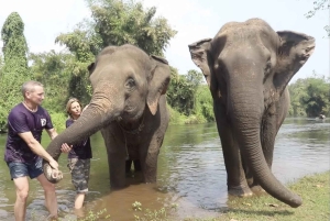 バンコク発：エレファンツワールド カンチャナブリ 2 日間体験