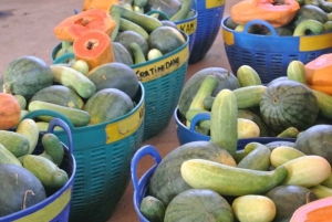 バンコク発：エレファンツワールド カンチャナブリ 2 日間体験