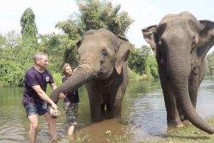 From Bangkok: ElephantsWorld Kanchanaburi 2-Day Experience
