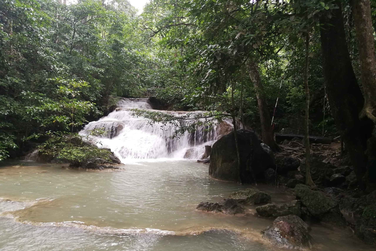 Vanuit Bangkok: Privétour Erawan Park & Olifanten voeren