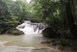 Vanuit Bangkok: Privétour Erawan Park & Olifanten voeren