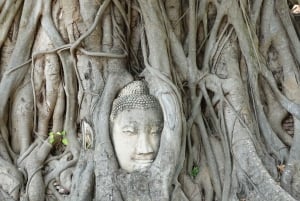 Phuket: Samet Nangshe & Khao Sok National Park Private Tour