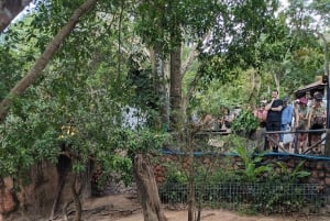 From Bangkok: Khao Kheow Open Zoo with Private Transfer