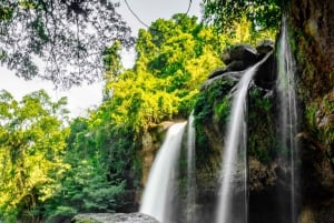 From Bangkok: Khao Yai National Park Day Trip