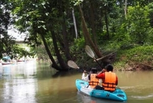 From Bangkok: Khao Yai National Park Day Trip