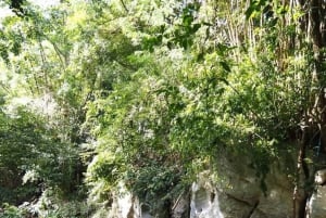 From Bangkok: Khao Yai National Park Day Trip