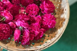 From Bangkok: Khao Yai National Park Day Trip