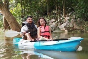 From Bangkok: Khao Yai National Park Day Trip