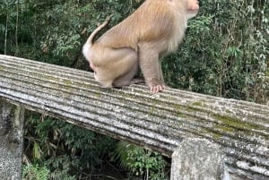 From Bangkok: Khao Yai National Park Day Trip