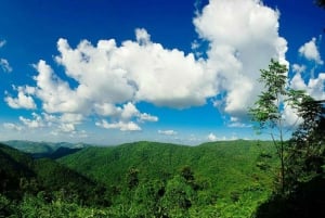 From Bangkok: Khao Yai National Park Jungle Trek with Lunch