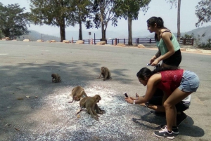 From Bangkok: Khao Yai National Park Jungle Trek with Lunch