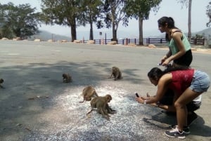 From Bangkok: Khao Yai National Park Jungle Trek with Lunch